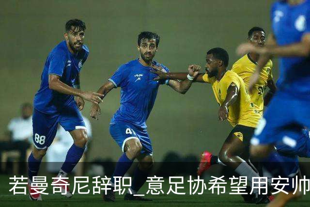 若曼奇尼辞职 意足协希望用安帅或卡纳瓦罗替代